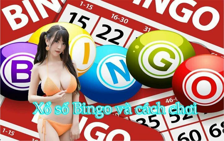 Xổ số Bingo và cách chơi xổ số online