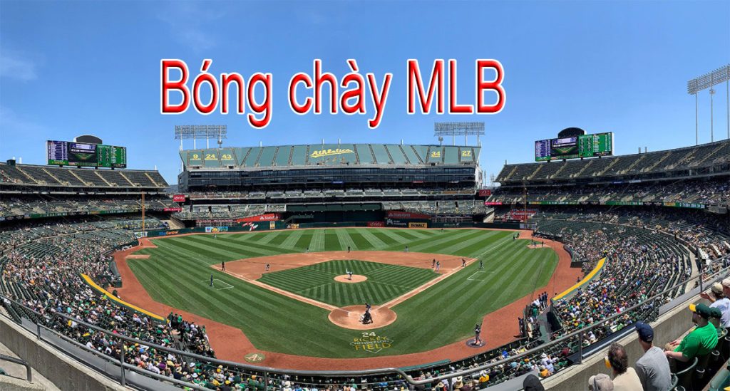 Bóng chày MLB cuộc chạy thoát khỏi luật rừng