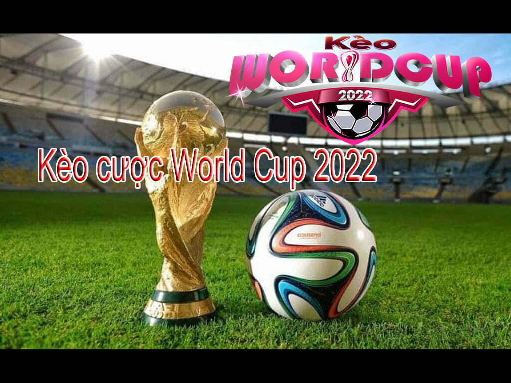 Kèo cược World Cup 2022 tỷ lệ thắng cao cho anh em