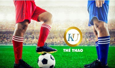 world cup bóng đá thế giới